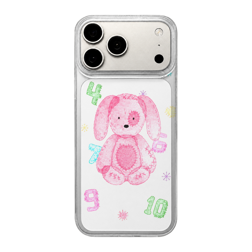 Plush Toy Clear Case